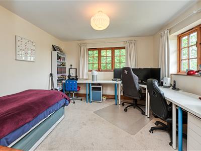 Picture 16